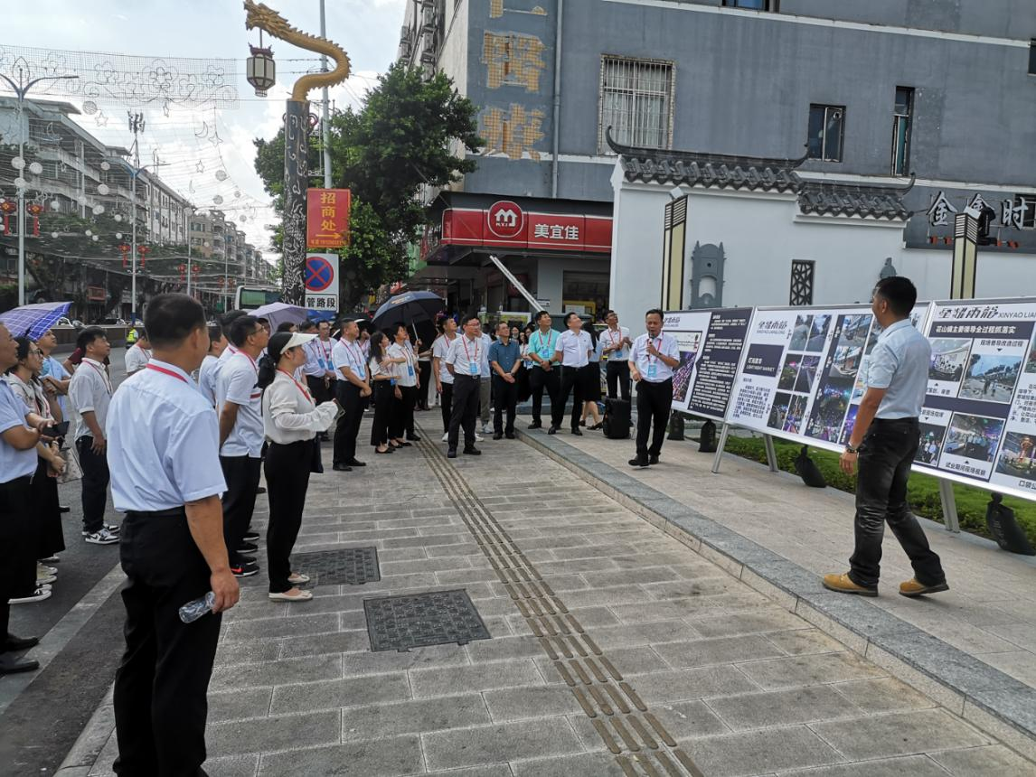 图为花山镇组织人大代表视察两龙夜市升级改造项目.png