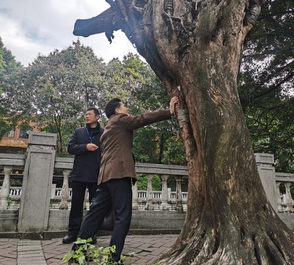 图片3.jpg