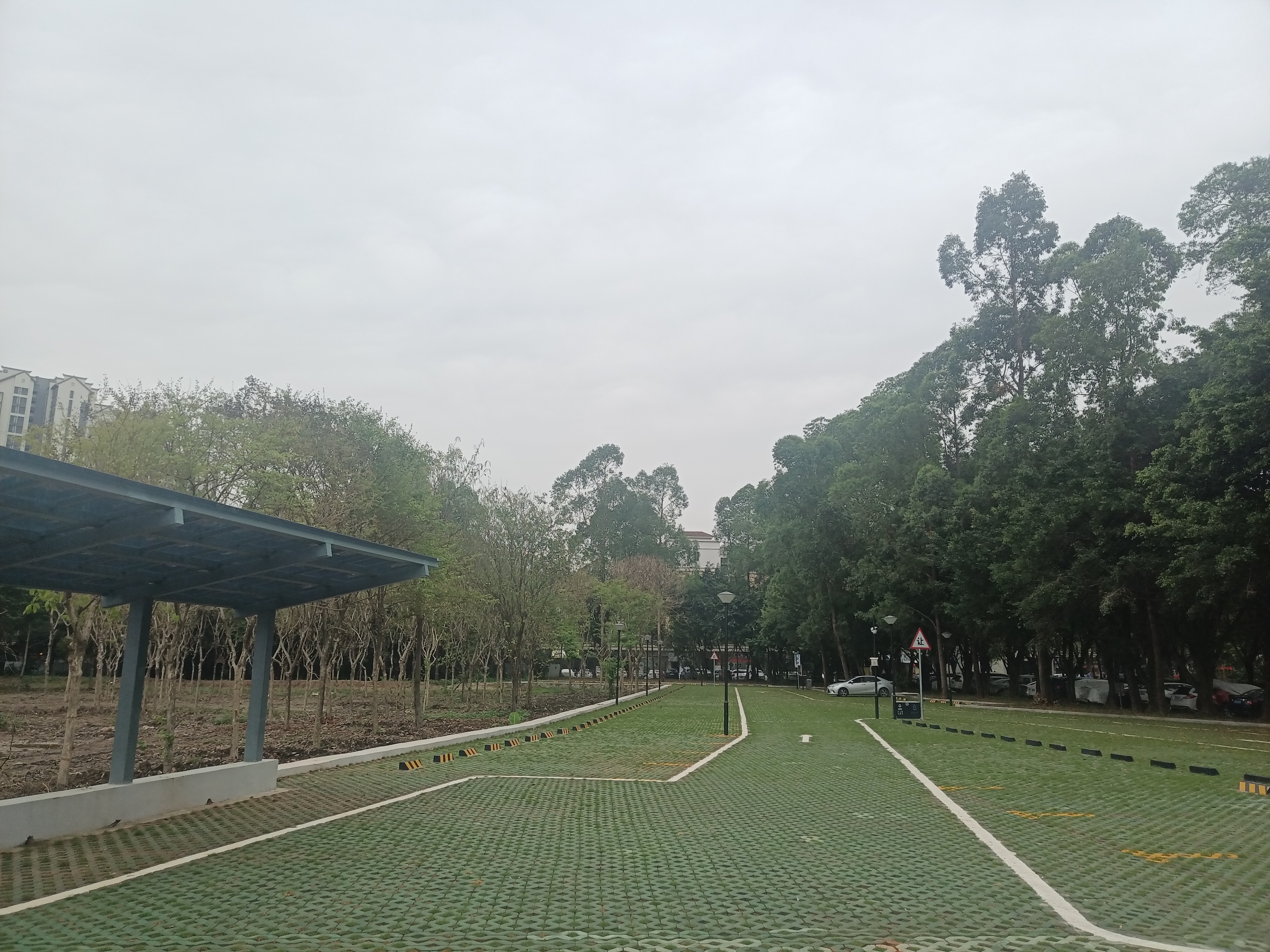 东涌镇文化广场侧停车场建设后照片1.jpg