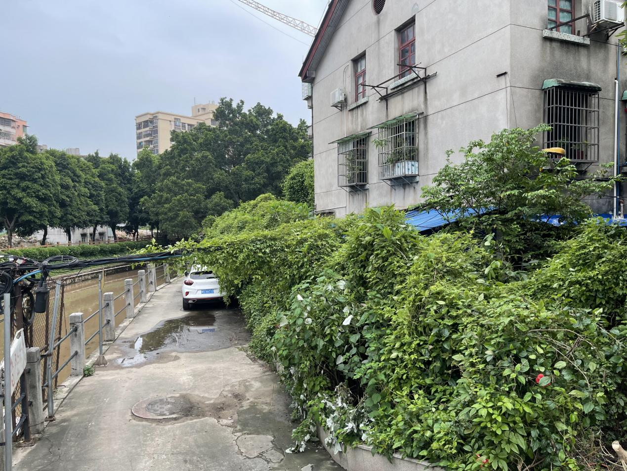3百花香料厂花基整修墙绘后，面貌焕然一新.png