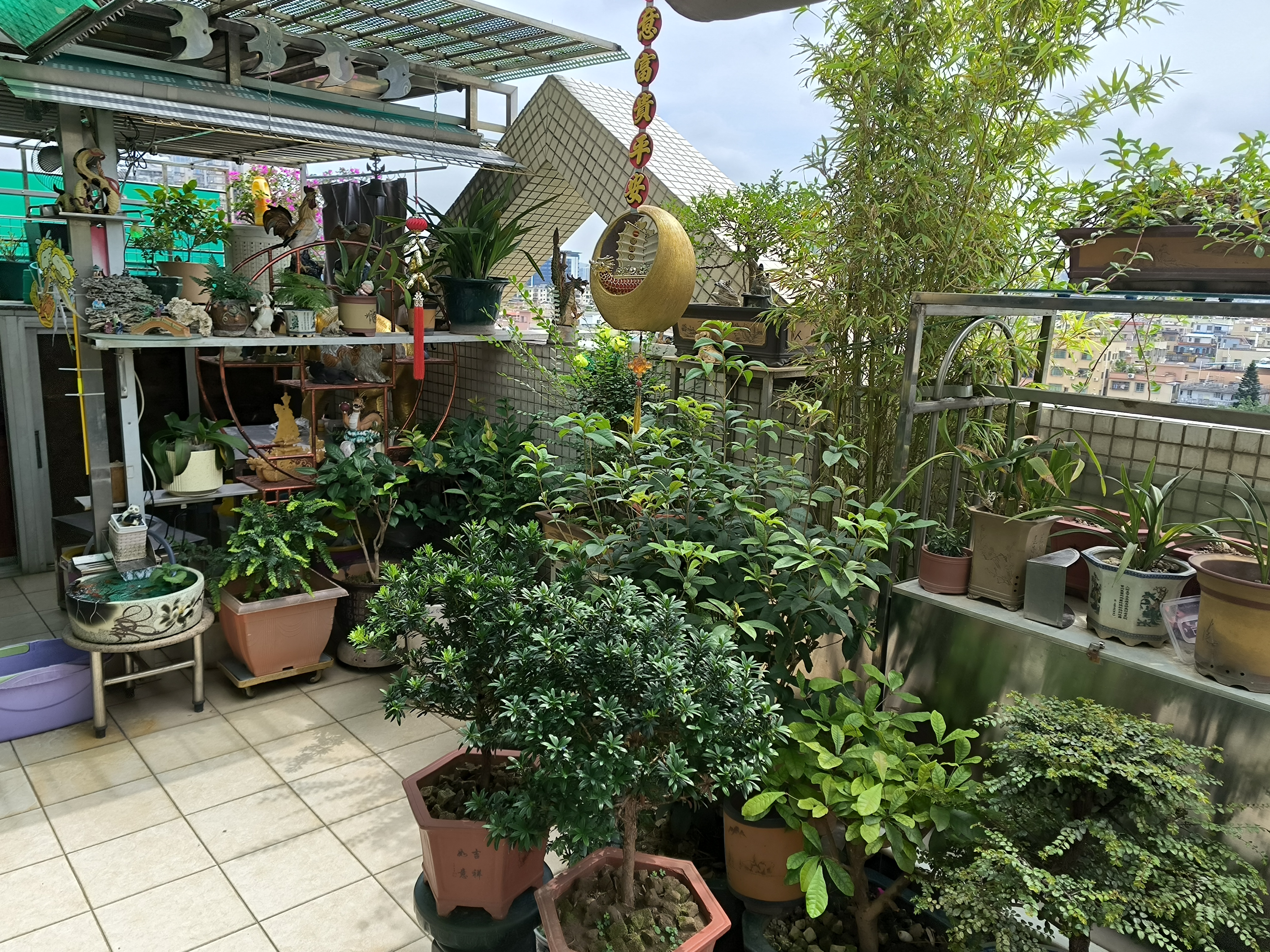 5红棉社区绿美庭院.jpg