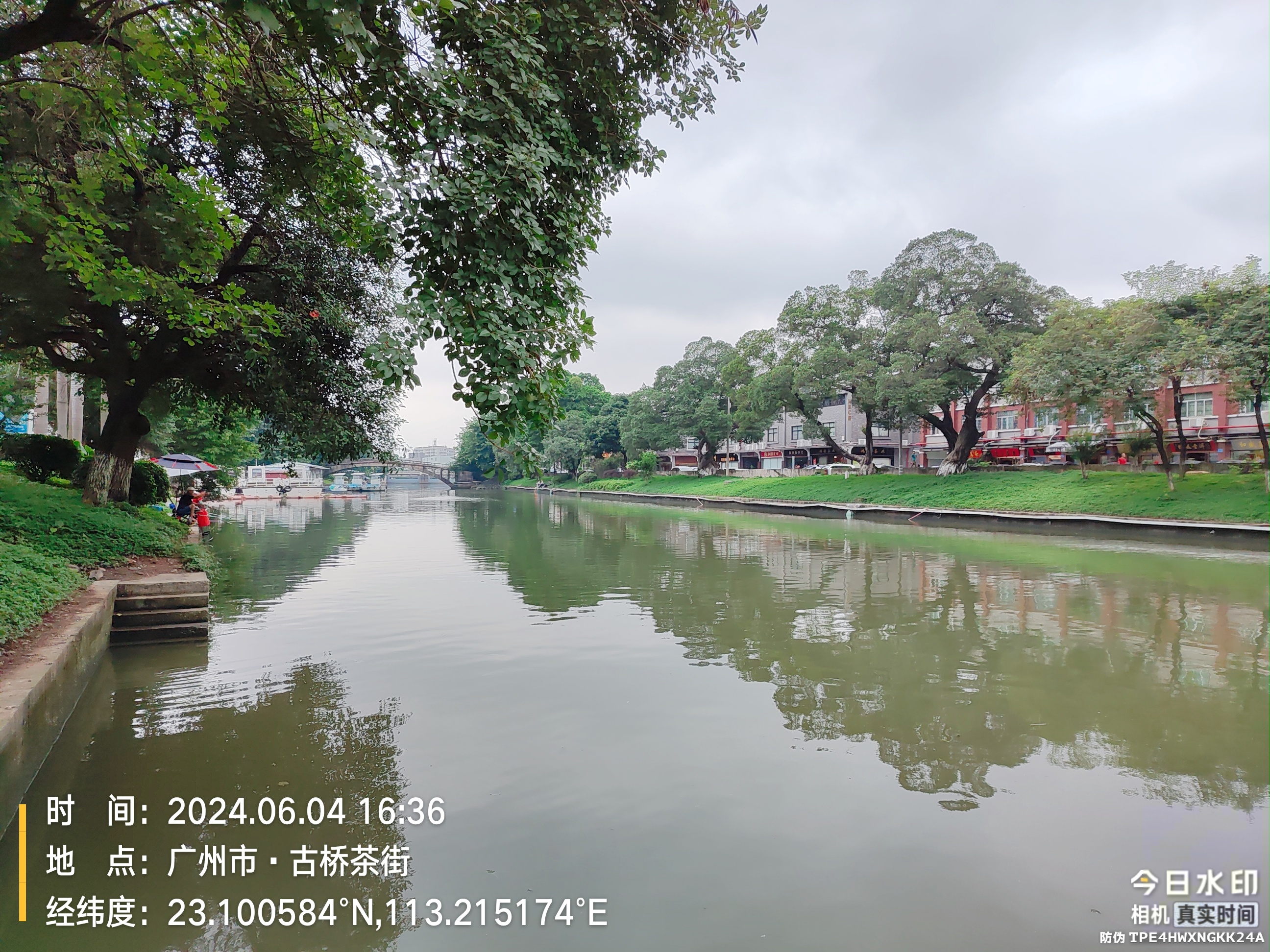 8茶滘河涌水碧岸青.jpg