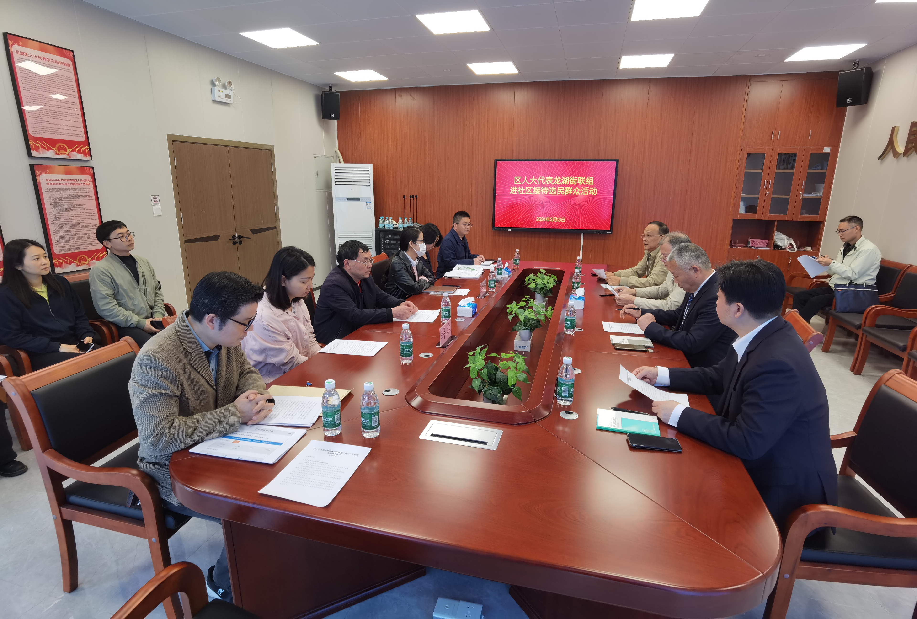 3月13日，龙湖街道人大代表进社区接待选民群众活动.jpg