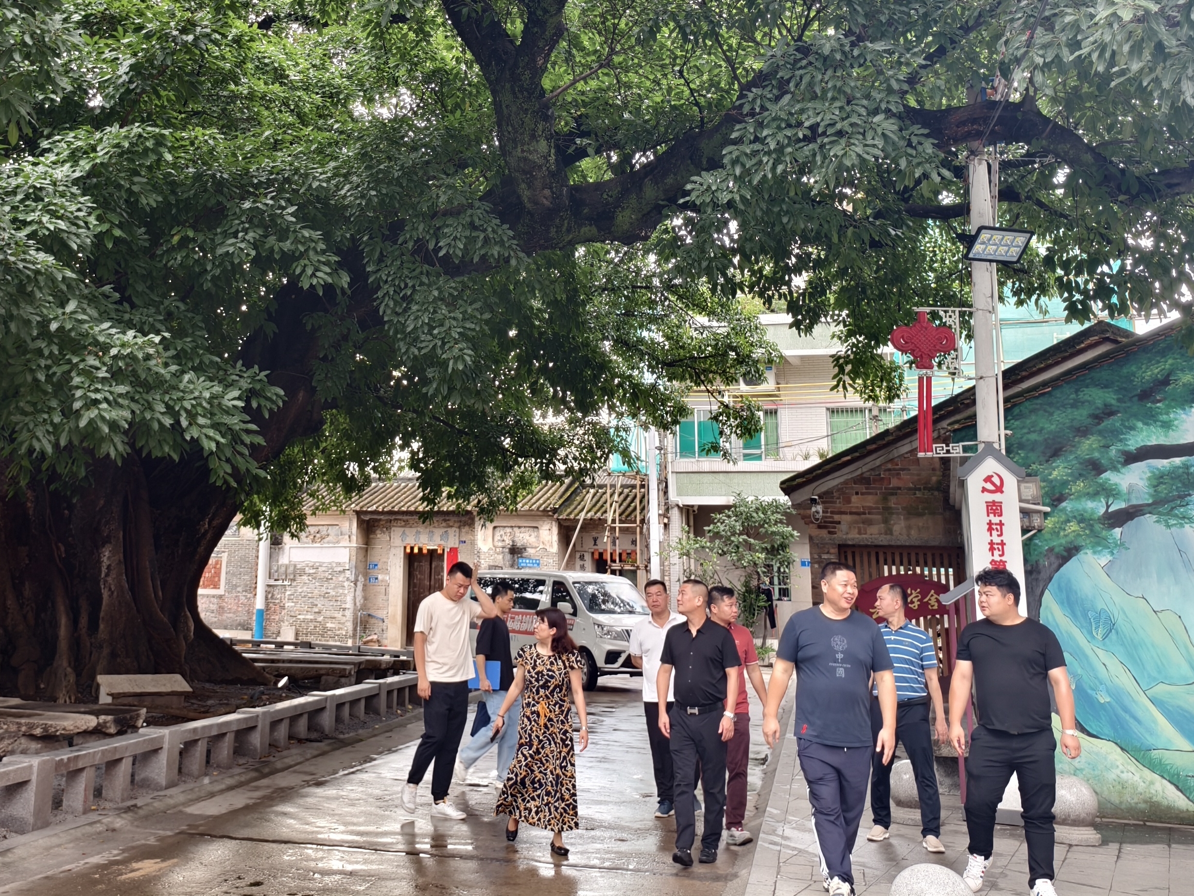 百千万工程代表实地走访调研 (2).jpg