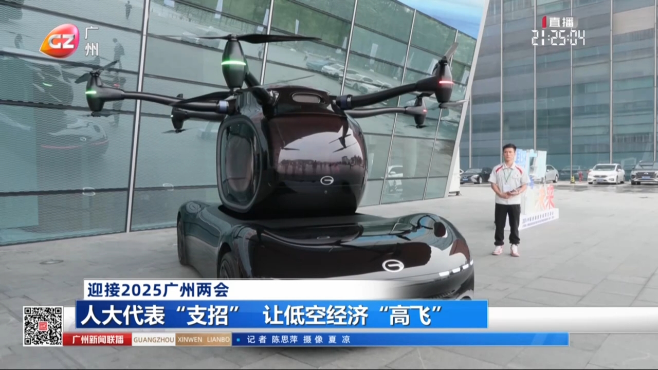 【2025迎接两会】人大代表“支招” 让低空经济“高飞”