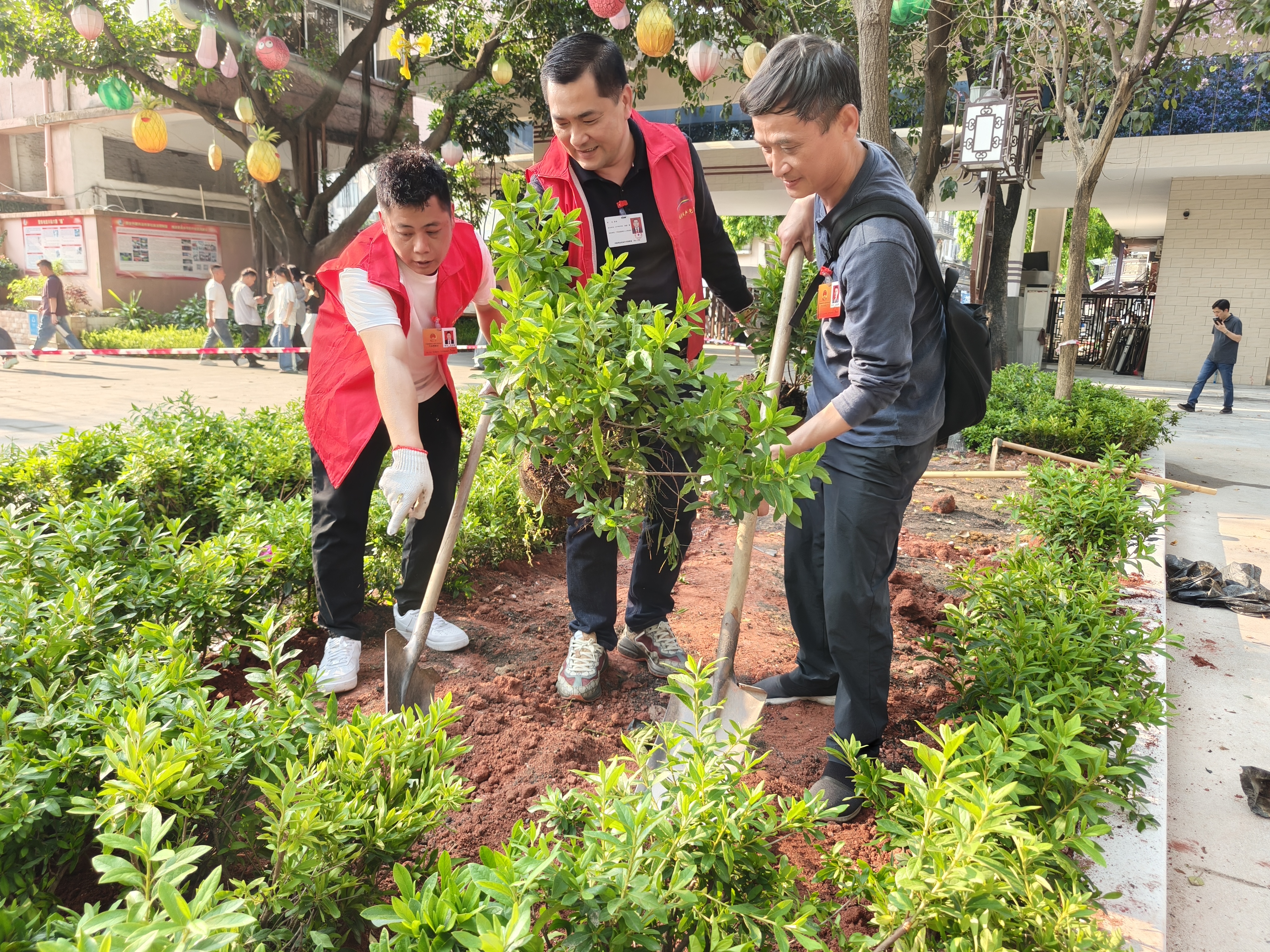 图5：代表积极参与植绿种绿活动.jpg